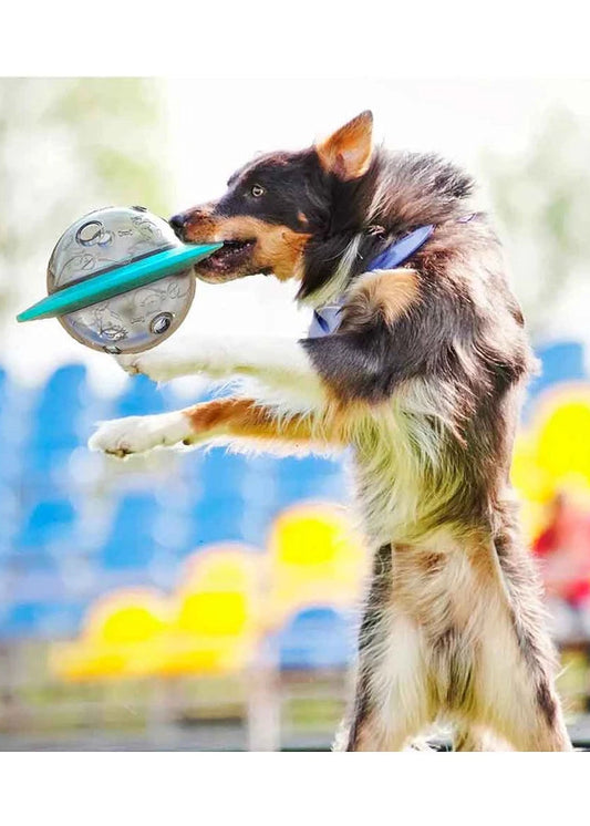 Comedouro Interativo Disco Voador para Cães – Dory Pet