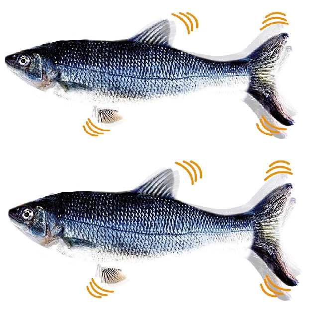 Brinquedo Peixe Elétrico Interativo Recarregável para Gatos – Dory Pet