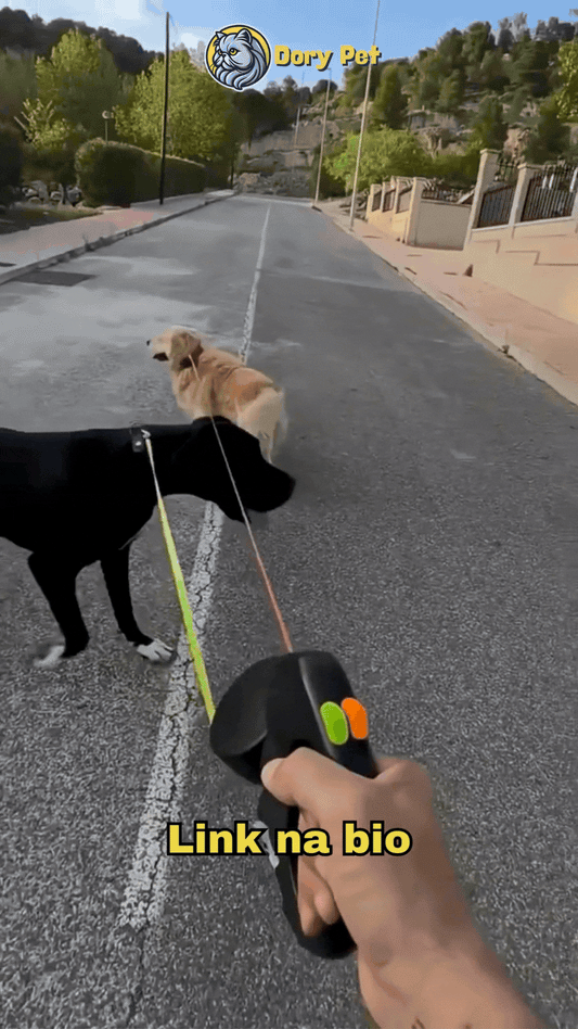 Guia Retrátil Dupla 360° para Dois Cães com Trava Automática + Anti-Emaranhado – Dory Pet