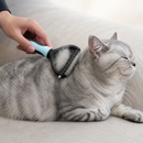 Escova Removedora de Pelos para Cães e Gatos