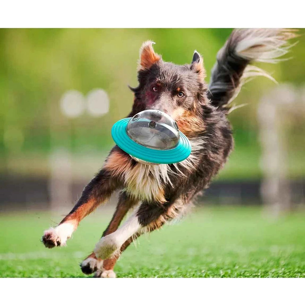 Comedouro Interativo Disco Voador para Cães – Dory Pet