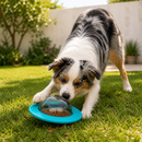 Brinquedo Interativo para Cães com Comedouro Lento e Disco Voador