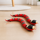 Cobra Inteligente Interativa para Gatos Recarregável