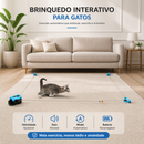 Simulador de Caça para Gatos com Movimento Realista