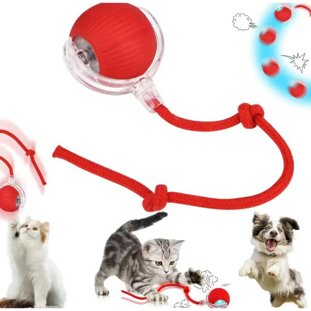Bola Interativa Elétrica para Gatos com Sensor de Movimento (Treinamento + Diversão) – Dory Pet