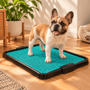 Sanitário Canino com Grade – Xixi no Lugar Certo, Patas Mais Secas