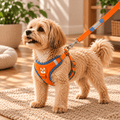 Peitoral Colete com Guia para Cães e Gatos – Mais Controle no Passeio