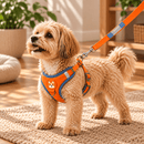 Peitoral Colete com Guia para Cães e Gatos – Mais Controle no Passeio