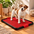 Sanitário Canino com Grade – Xixi no Lugar Certo, Patas Mais Secas