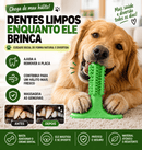Escova Dental Mordedor Pet Clean – Higiene Bucal Sem Estresse
