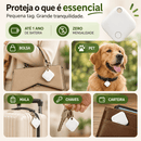 Tag Rastreadora Pet – Saiba Onde Procurar Se Ele Sumir