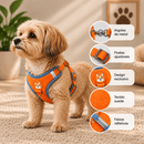 Peitoral Colete com Guia para Cães e Gatos – Mais Controle no Passeio