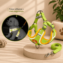 Peitoral Colete com Guia para Cães e Gatos – Mais Controle no Passeio