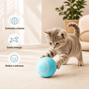 Bola Inteligente Pet – Chega de Tédio Dentro de Casa