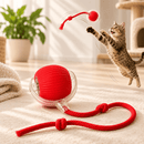Bola Interativa para Gatos – Caça que Ganha Vida