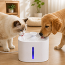 Bebedouro Fonte Automático 3L Com Filtro Para Cães e Gatos