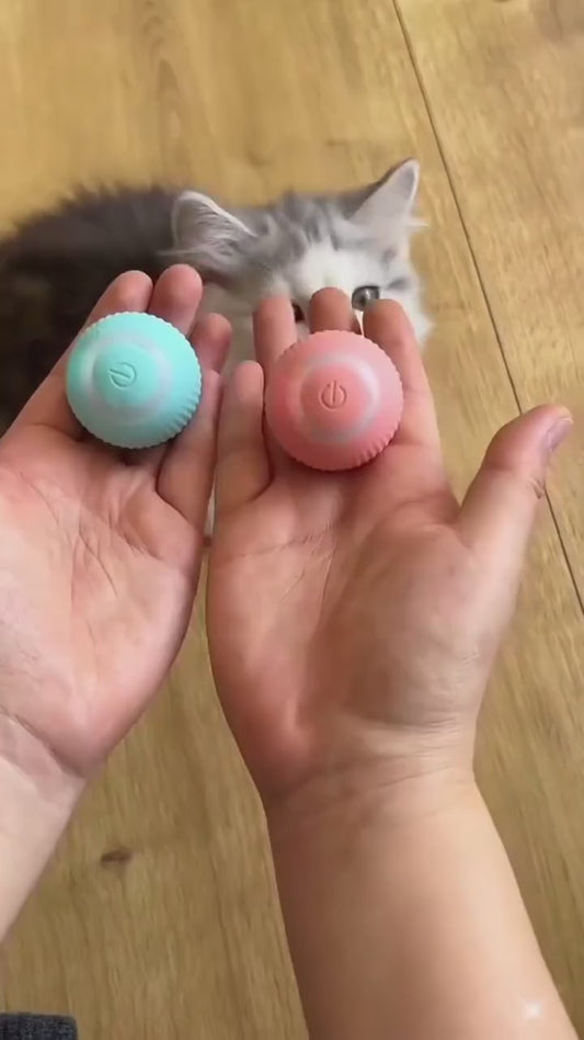 Bola Interativa Inteligente para Cães e Gatos que Reduz Tédio e Ansiedade -Dory Pet