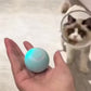 Bola Interativa Inteligente SmartPlay para Gatos e Cachorros -Dory Pet